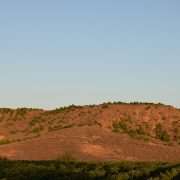 Cabezo La Torre en Aldeanueva de Ebro se trata de la ubicación donde quieren realizar el parque eólico de La Aldea.