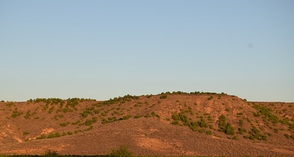 Cabezo La Torre en Aldeanueva de Ebro se trata de la ubicación donde quieren realizar el parque eólico de La Aldea.