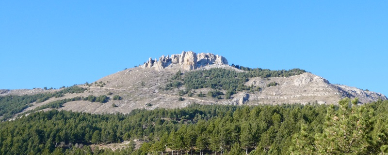 Amigos de la Tierra La Rioja